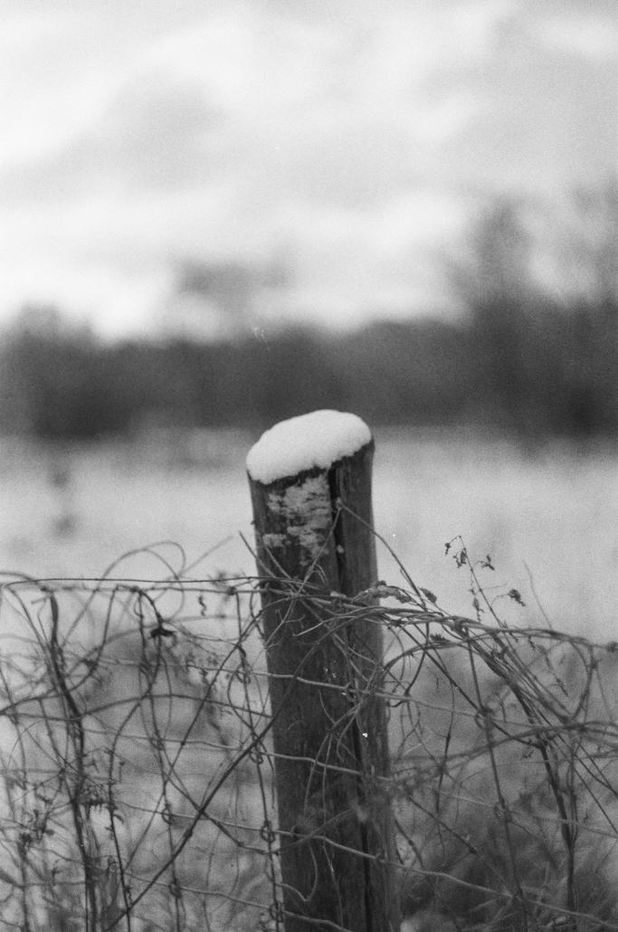 Selbst einfache Fotos können eine tolle Stimmung aufbauen. Pentax ME Super - Selbst einfache Fotos können eine tolle Stimmung aufbauen.